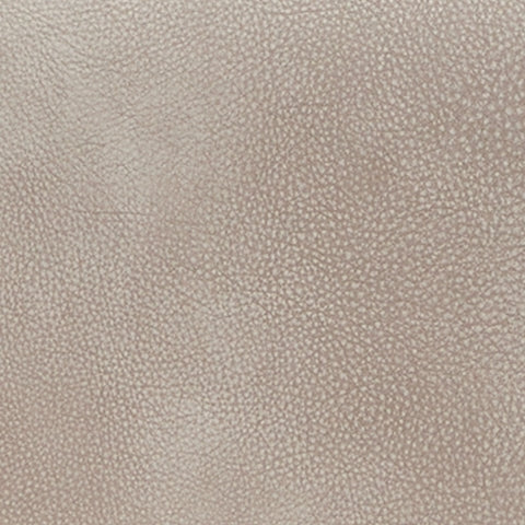 4Z-Peaceful Pause Power Lift Recliner