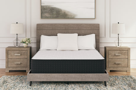 Furniture City Houma - Ashley Furniture - Limited Edition Plush Twin XL Mattress - Twin XL - M41171