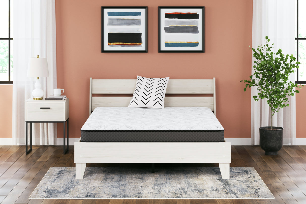 Furniture City Houma - Ashley Furniture - 8 Inch Bonnell Hybrid California King Mattress - California King - M58751