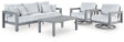 Furniture City Houma - Ashley Furniture - Hurley Park Outdoor Sofa, 2 Lounge Chairs and Coffee Table - Outdoor Sofa, 2 Lounge Chairs and Coffee Table - PCP695P2