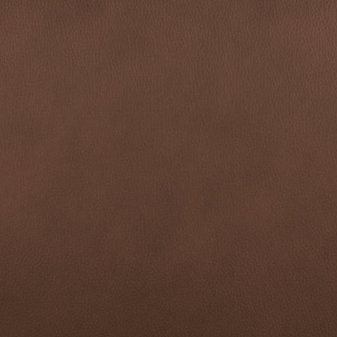 Pincara Power AutoGlide Recliner