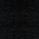 Betty Velvet Upholstered Dining Side Chair Black (Set of 4)
