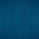 Betty Velvet Upholstered Dining Side Chair Blue (Set of 4)