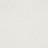 Anzio Boucle Upholstered Dining Side Chair White (Set of 2)