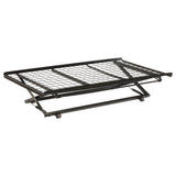 Furniture City Houma - Coaster - Eden Metal Twin Pop Up Trundle Bed Black - 1137