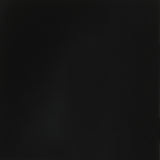 Eden Metal Twin Trundle Bed Black