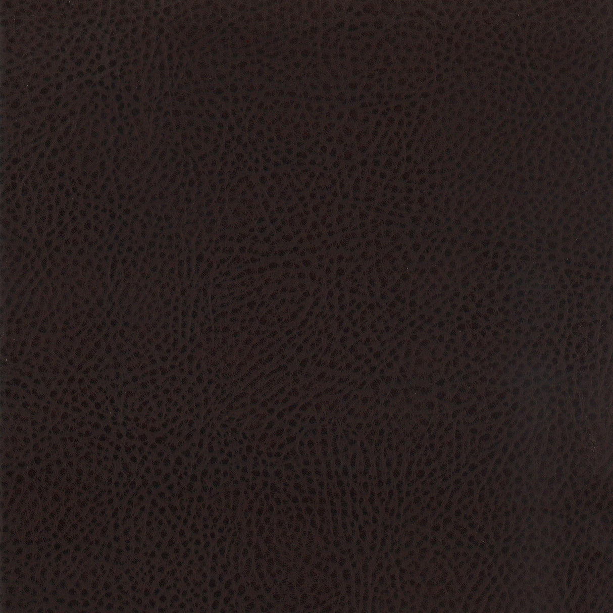 Dewey Upholstered Counter Chair Walnut (Set of 2)