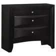 Furniture City Houma - Coaster - Briana 2-drawer Nightstand Black - 200702