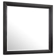 Furniture City Houma - Coaster - Briana Dresser Mirror Black - 200704