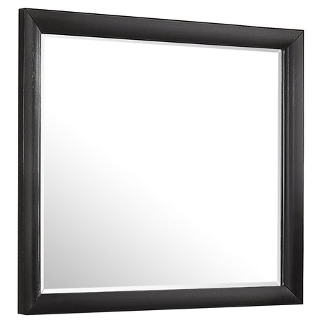 Furniture City Houma - Coaster - Briana Dresser Mirror Black - 200704