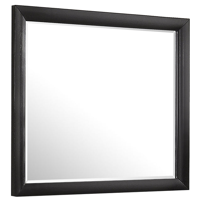 Furniture City Houma - Coaster - Briana Dresser Mirror Black - 200704