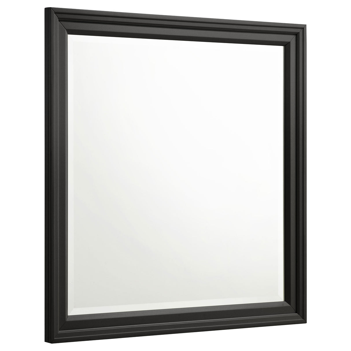 Furniture City Houma - Coaster - Sandy Beach Dresser Mirror Black - 201324