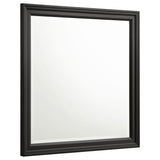Furniture City Houma - Coaster - Sandy Beach Dresser Mirror Black - 201324