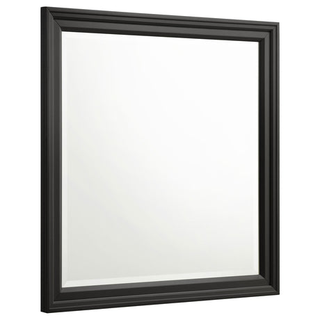 Furniture City Houma - Coaster - Sandy Beach Dresser Mirror Black - 201324