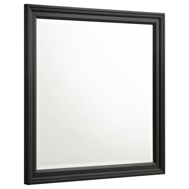 Furniture City Houma - Coaster - Sandy Beach Dresser Mirror Black - 201324