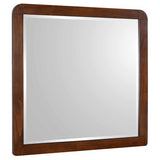 Furniture City Houma - Coaster - Robyn Dresser Mirror Dark Walnut - 205134