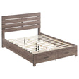 Furniture City Houma - Coaster - Brantford Wood Eastern King Storage Panel Bed Barrel Oak - 207040KE