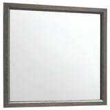 Furniture City Houma - Coaster - Watson Dresser Mirror Grey Oak - 212424