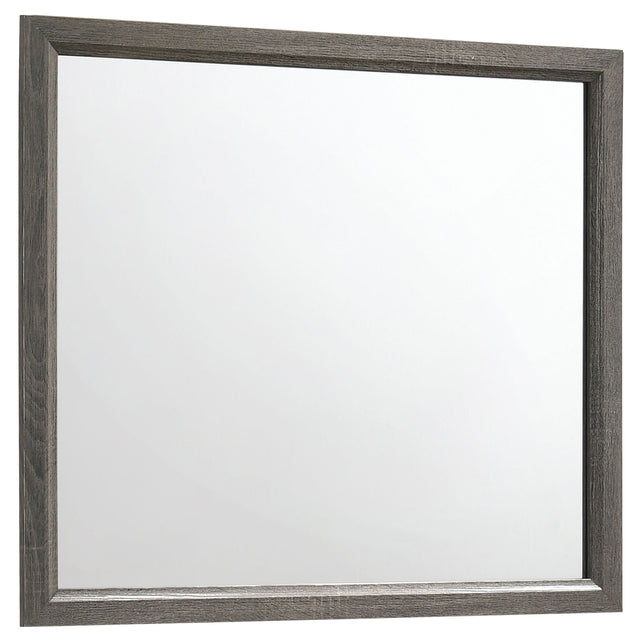 Furniture City Houma - Coaster - Watson Dresser Mirror Grey Oak - 212424