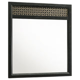 Furniture City Houma - Coaster - Valencia Dresser Mirror Black - 223044