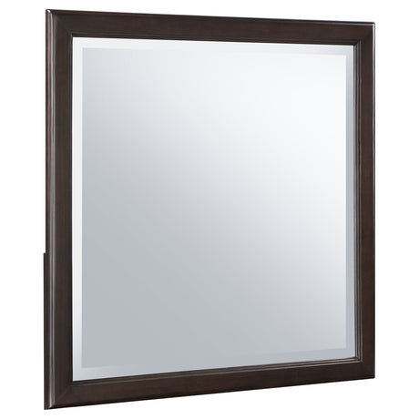 Furniture City Houma - Coaster - Emberlyn Dresser Mirror Brown - 223064
