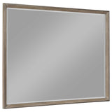 Furniture City Houma - Coaster - Durango Dresser Mirror Taupe Oak - 223274