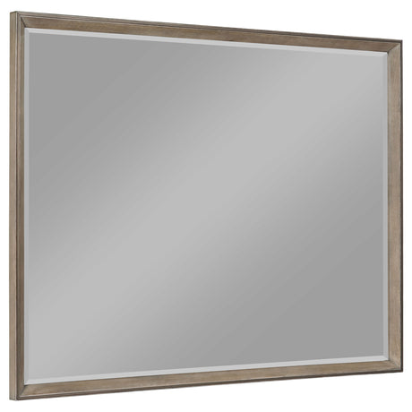 Furniture City Houma - Coaster - Durango Dresser Mirror Taupe Oak - 223274