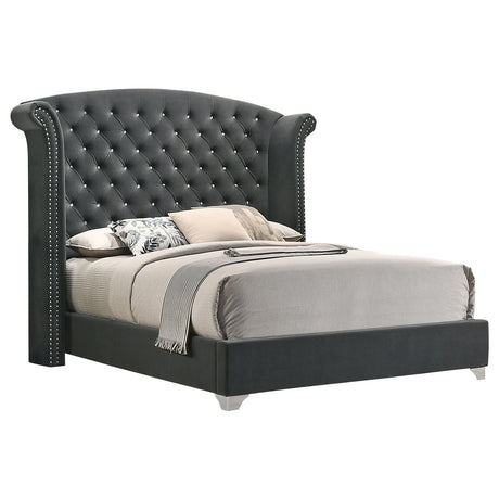 Furniture City Houma - Coaster - Melody Upholstered Queen Wingback Bed Grey - 223381Q