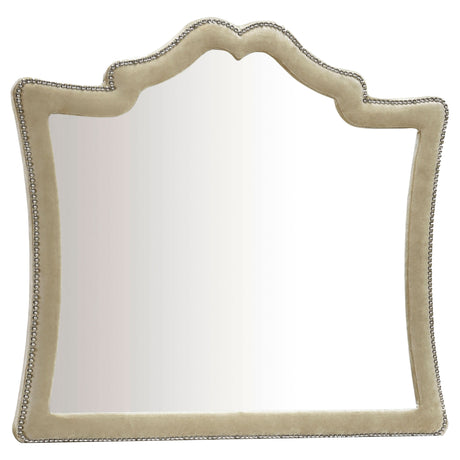 Furniture City Houma - Coaster - Antonella Upholstered Dresser Mirror Camel - 223524