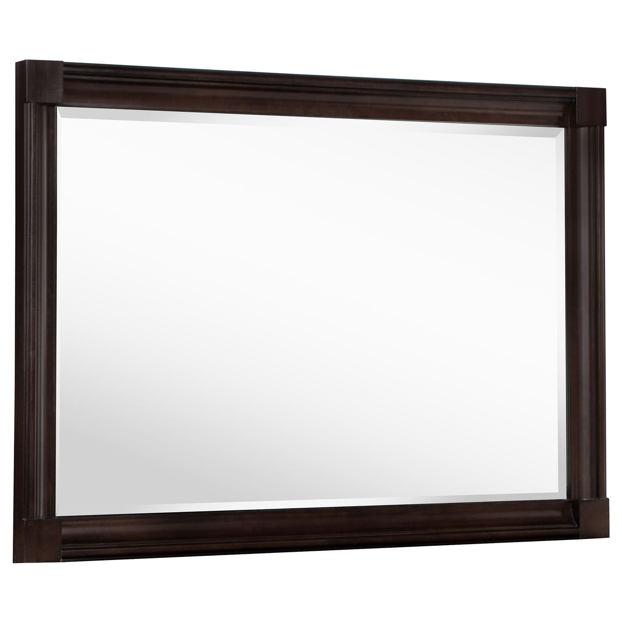 Furniture City Houma - Coaster - Andover Dresser Mirror Dark Oak - 223634