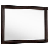Furniture City Houma - Coaster - Andover Dresser Mirror Dark Oak - 223634