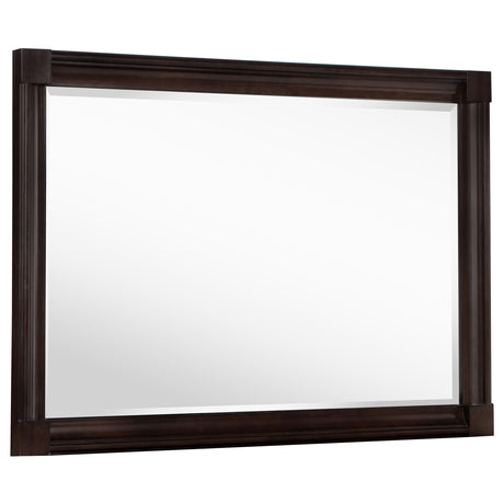 Furniture City Houma - Coaster - Andover Dresser Mirror Dark Oak - 223634