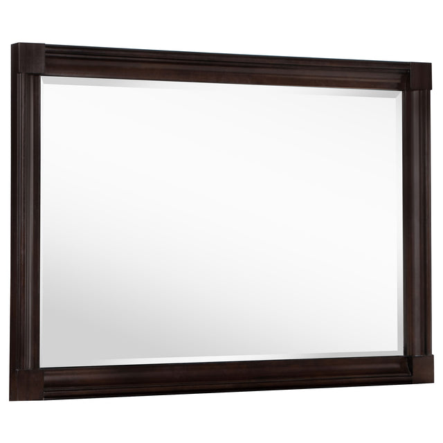 Furniture City Houma - Coaster - Andover Dresser Mirror Dark Oak - 223634