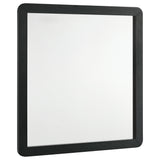 Furniture City Houma - Coaster - Cavelle Dresser Mirror Black - 223664