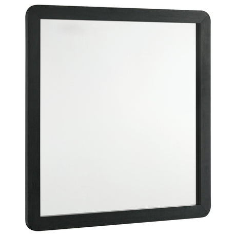 Furniture City Houma - Coaster - Cavelle Dresser Mirror Black - 223664