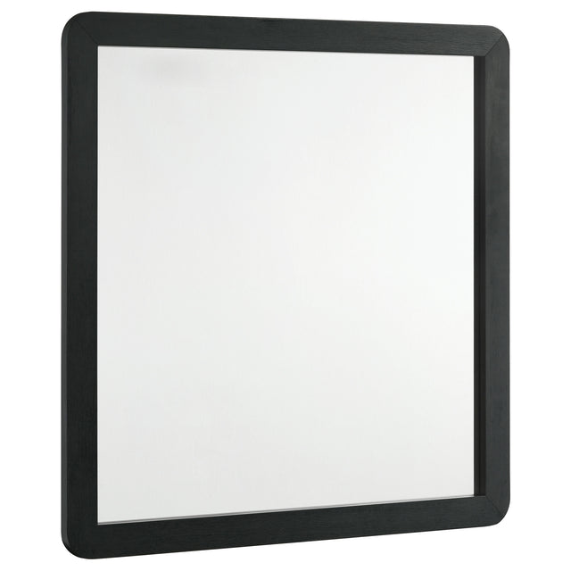 Furniture City Houma - Coaster - Cavelle Dresser Mirror Black - 223664