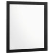 Furniture City Houma - Coaster - Kendall Dresser Mirror Black - 224454