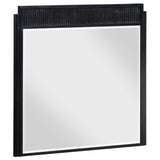 Furniture City Houma - Coaster - Brookmead Dresser Mirror Black - 224714