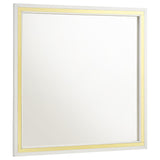 Furniture City Houma - Coaster - Lucia Dresser Mirror White - 224734