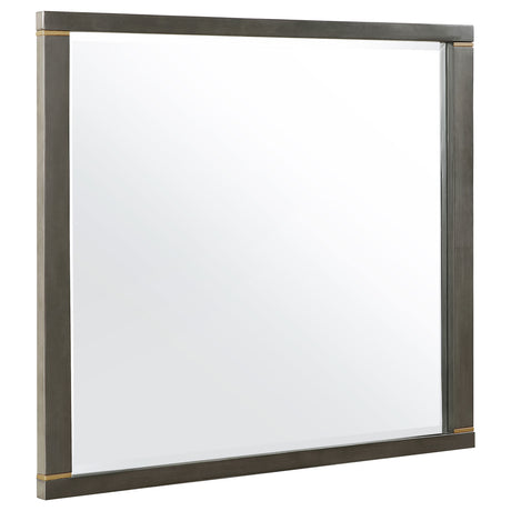 Furniture City Houma - Coaster - Kieran Dresser Mirror Grey - 224744