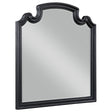Furniture City Houma - Coaster - Celina Dresser Mirror Black - 224764