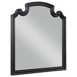 Furniture City Houma - Coaster - Celina Dresser Mirror Black - 224764