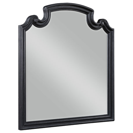 Furniture City Houma - Coaster - Celina Dresser Mirror Black - 224764