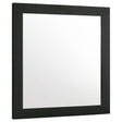 Furniture City Houma - Coaster - Caraway Dresser Mirror Black - 224784