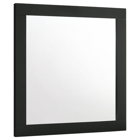 Furniture City Houma - Coaster - Caraway Dresser Mirror Black - 224784