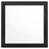 Caraway Dresser Mirror Black