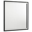 Furniture City Houma - Coaster - Lucia Dresser Mirror Black - 224994