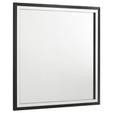 Furniture City Houma - Coaster - Lucia Dresser Mirror Black - 224994