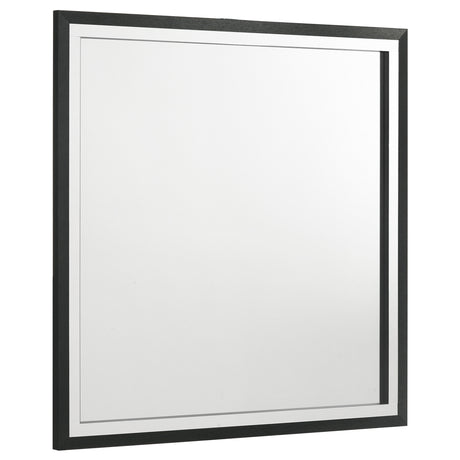 Furniture City Houma - Coaster - Lucia Dresser Mirror Black - 224994
