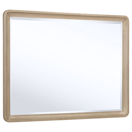 Furniture City Houma - Coaster - Ladera Dresser Mirror Light Elm - 225084